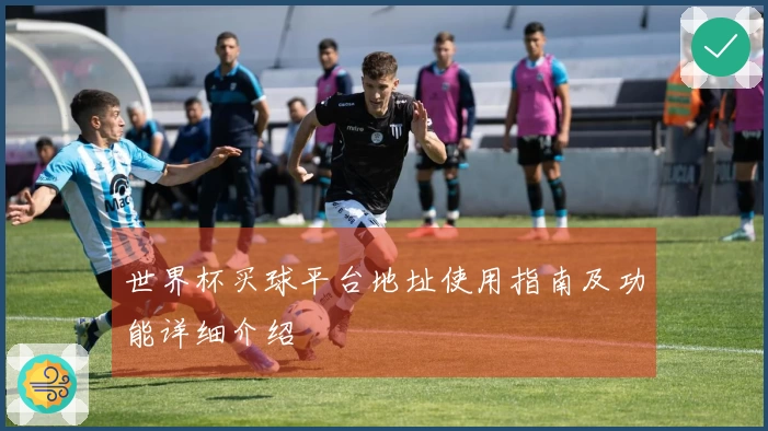 世界杯买球平台地址使用指南及功能详细介绍