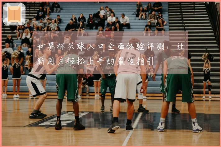 世界杯买球入口全面体验评测，让新用户轻松上手的最佳指引