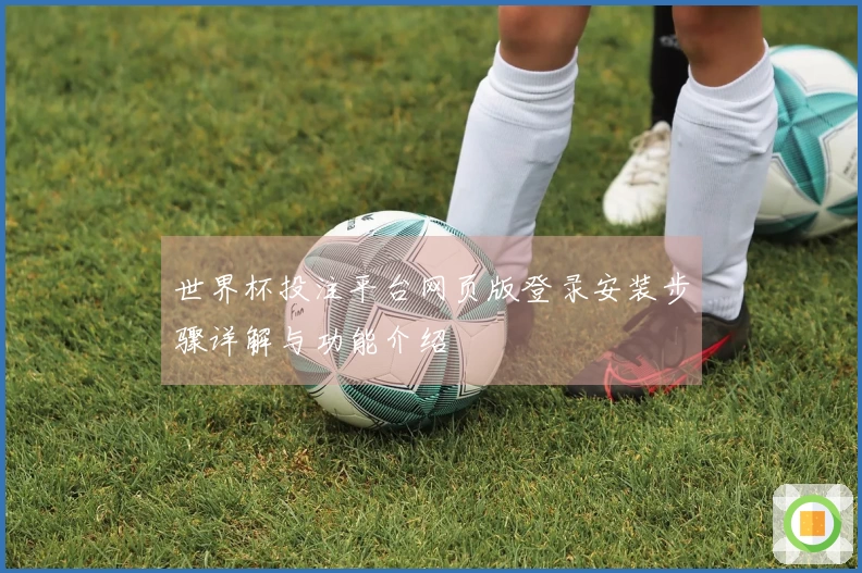 世界杯投注平台网页版登录安装步骤详解与功能介绍