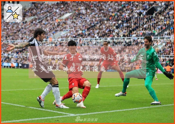 世界杯投注平台官方网站首页的安装步骤及功能使用指南