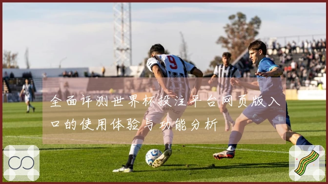 全面评测世界杯投注平台网页版入口的使用体验与功能分析